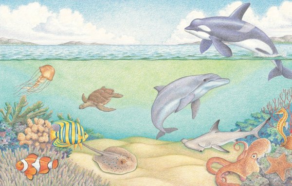 Подводный мир карандашом