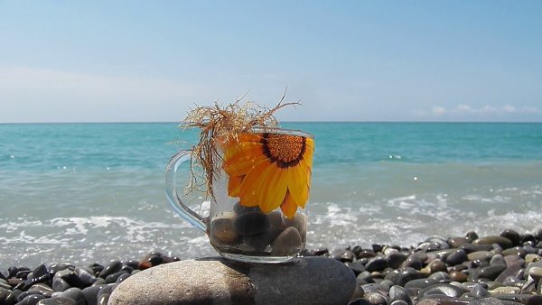 Кофе и море