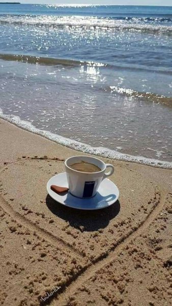 Чашка чая на берегу моря