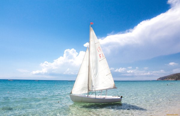 Парусник маленький