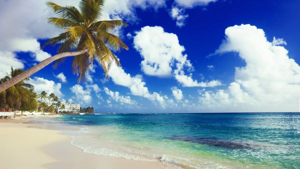 Панно Summer Stone Golden Tile