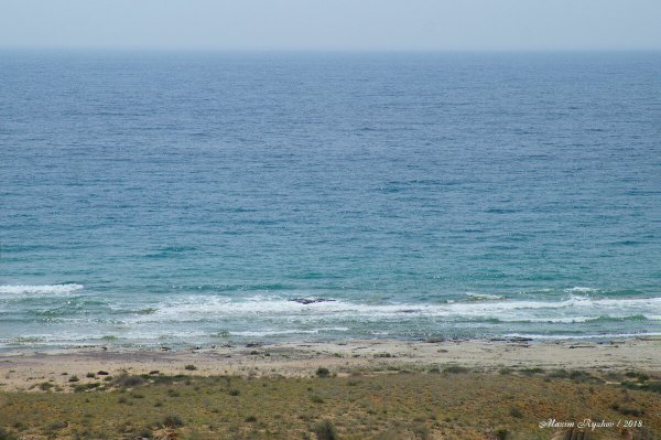 Дагестан побережье Каспийского моря