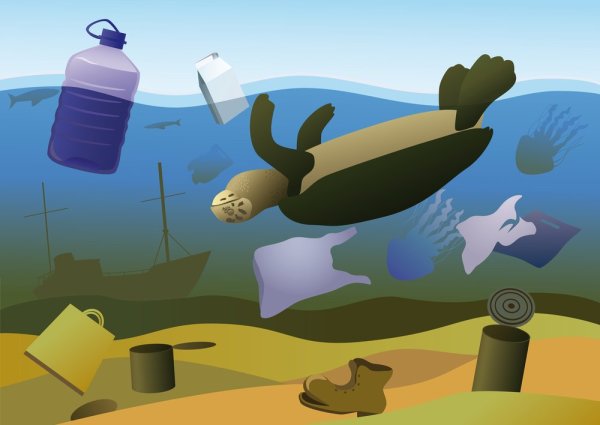 Рыбка в грязной воде