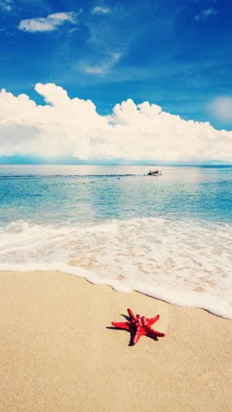 Лето море пляж