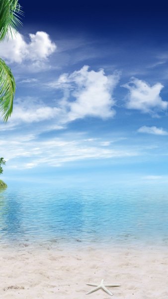 Побережье с пальмами