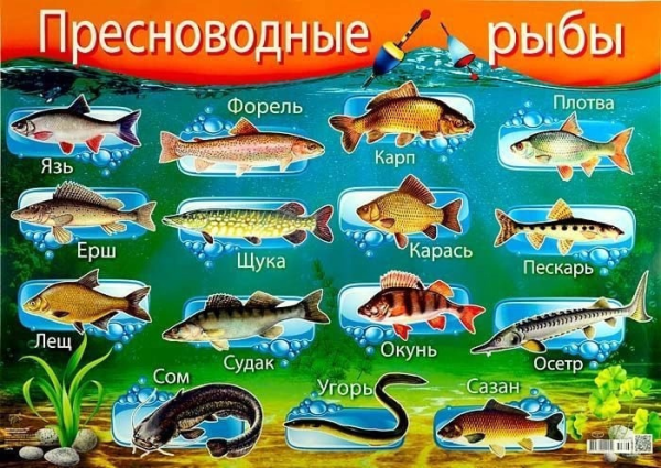 Морское дно