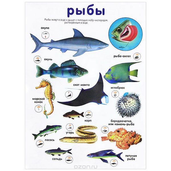 Аппликация на тему подводный мир