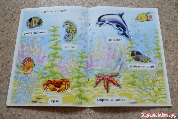 Водные обитатели задание для детей