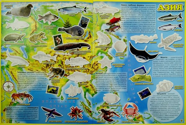 Подводные обитатели для детей