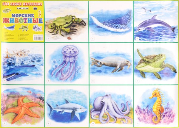Обитатели морей и океанов для детей