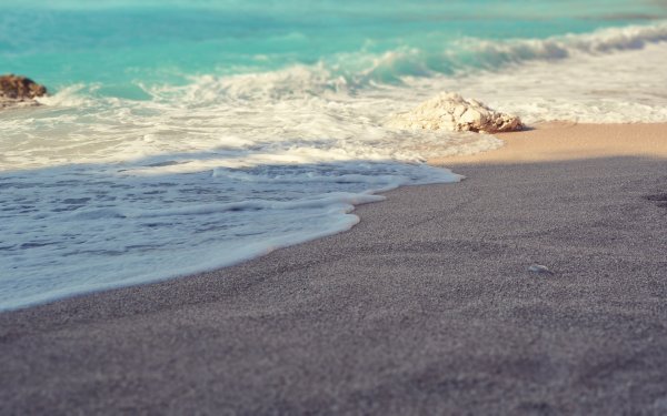 Море пляж пальмы