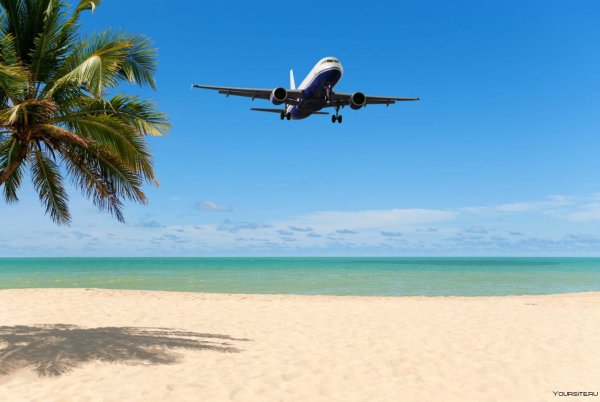 Самолет море пальмы