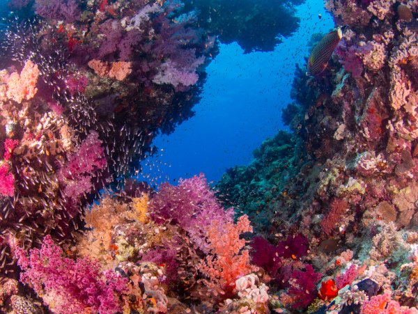 Красное море достопримечательности