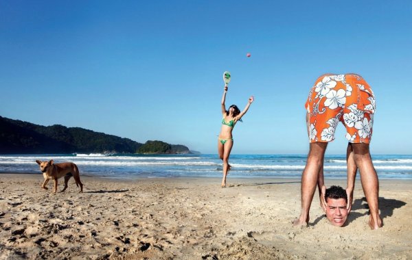 Животные в отпуске