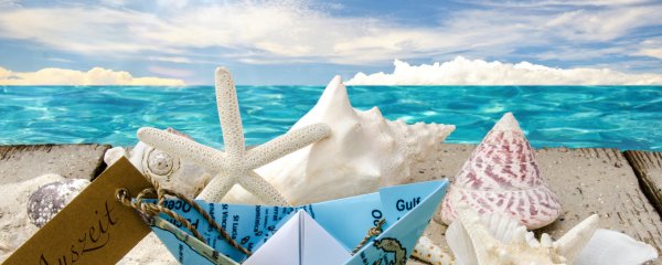 Открытка ракушки и море