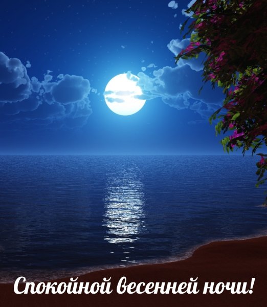 Лунная ночь