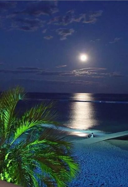 Красивый пляж ночью