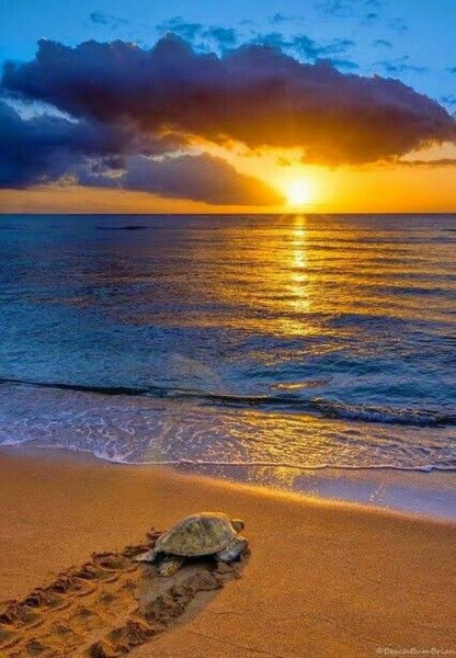 Спокойной ночи море