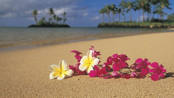 Коктейль в кокосе на фоне моря