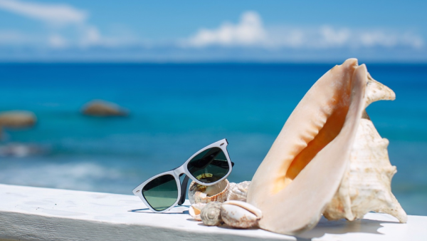 Море люди с чемоданом