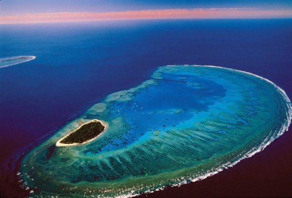Оазис морей круизный лайнер