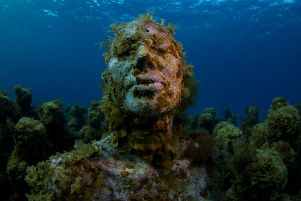 Корабль Оазис морей