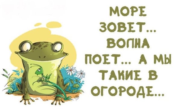 Цитаты про огород