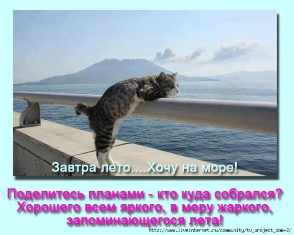 Фото завтра лето