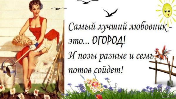 Огород и позы разные