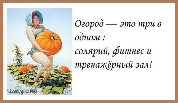 Смешные цитаты про огород