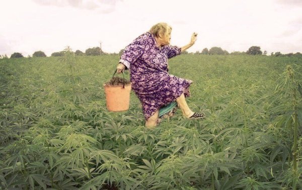 Открытки отдых на даче