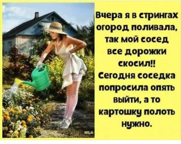 Шутки про огород