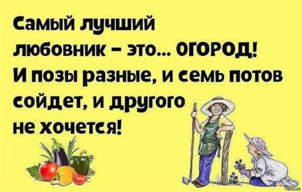 Смешные фразы про огород