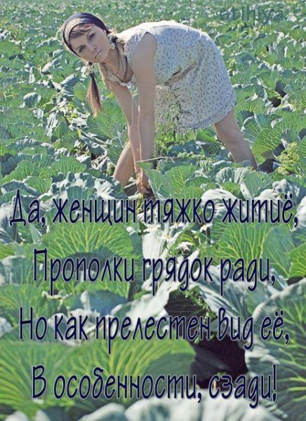 Цитаты про отдых на море