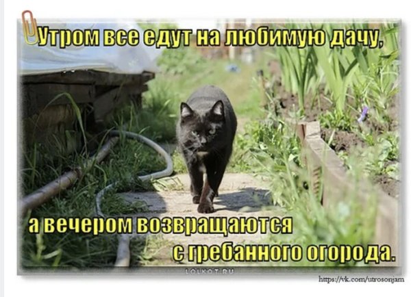 Поздравление с отпуском