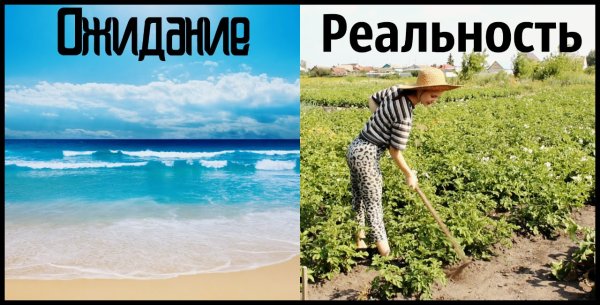 Фразы смешные про пляж