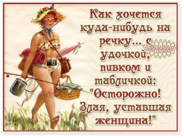 Приколы про дачу