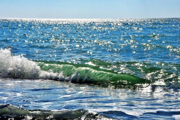 Черное море Сочи