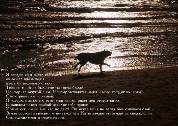 Чингиз Айтматов Пегий пес Бегущий краем моря