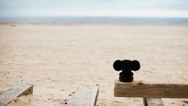 Чебурашка на берегу