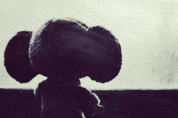 Чебурашка со спины