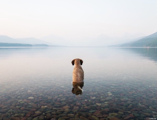 Грустный Чебурашка