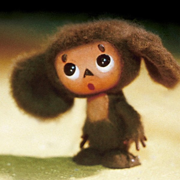 Собака сидит на берегу