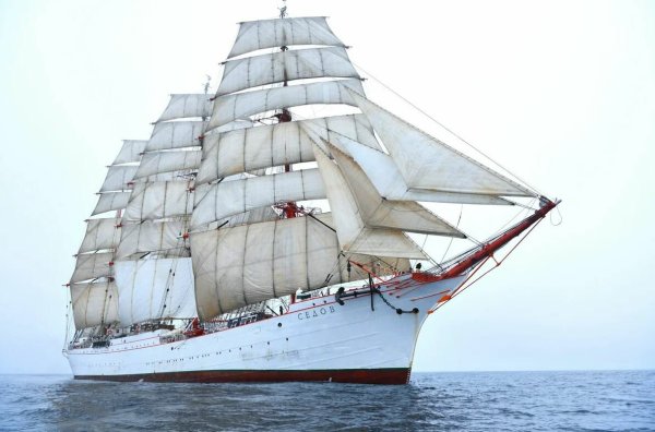 Парусник Ройяль клипер