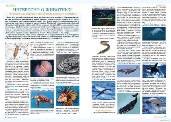 Морские рыбы карточки