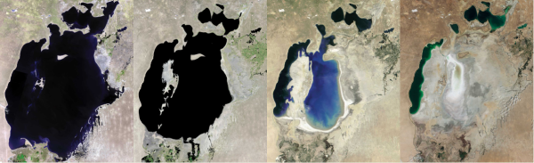 Аральское море 2030
