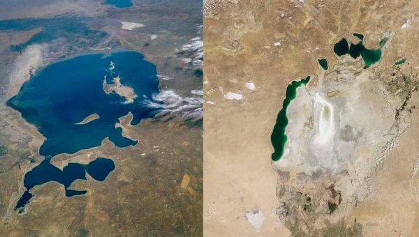 Орол денгизи