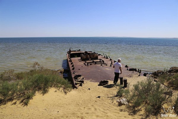 Высохшее Аральское море 2019