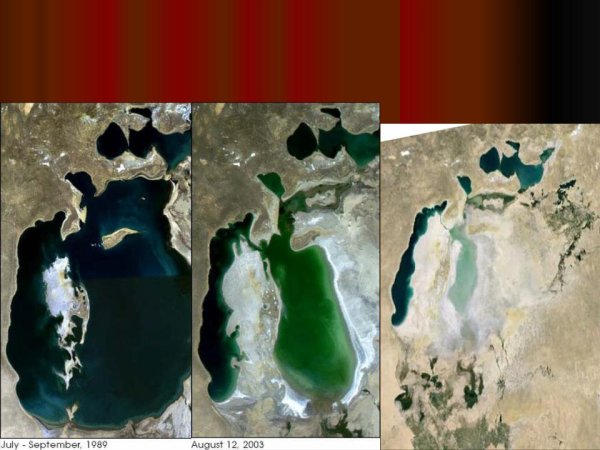 Малое Аральское море 2020