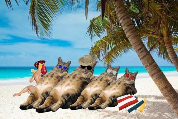 Едем на море